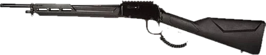 Rossi Rio Lever Action